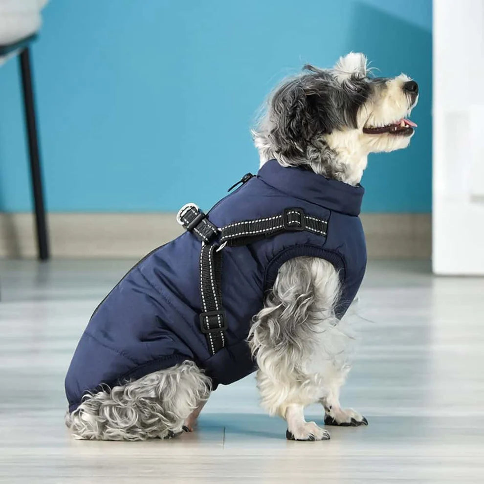 FrostGuard | Vinterklar päls Buddy