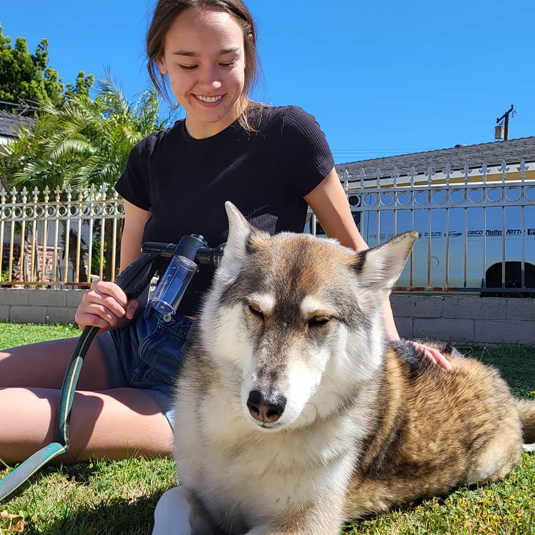 Alethea | Pup Jet
