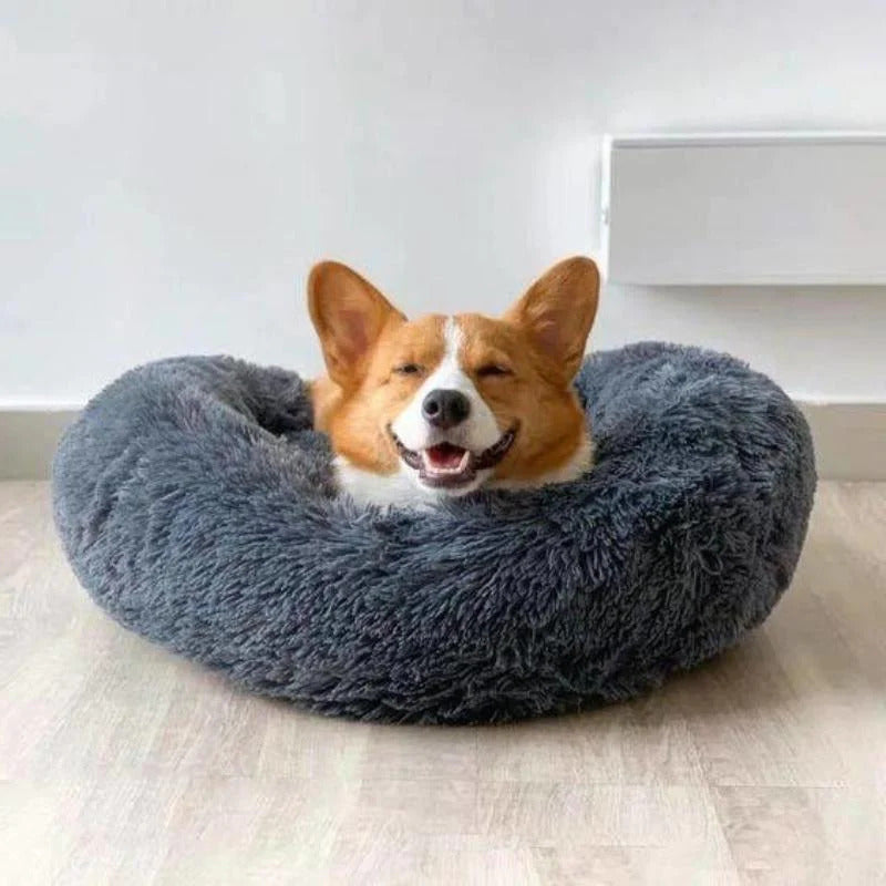 Bekväm säng för FluffyFriends